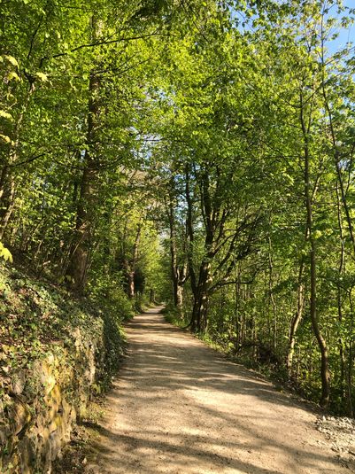 Psychologische Beratung - Professionelle Gesprächstherapie und systemisches Coaching